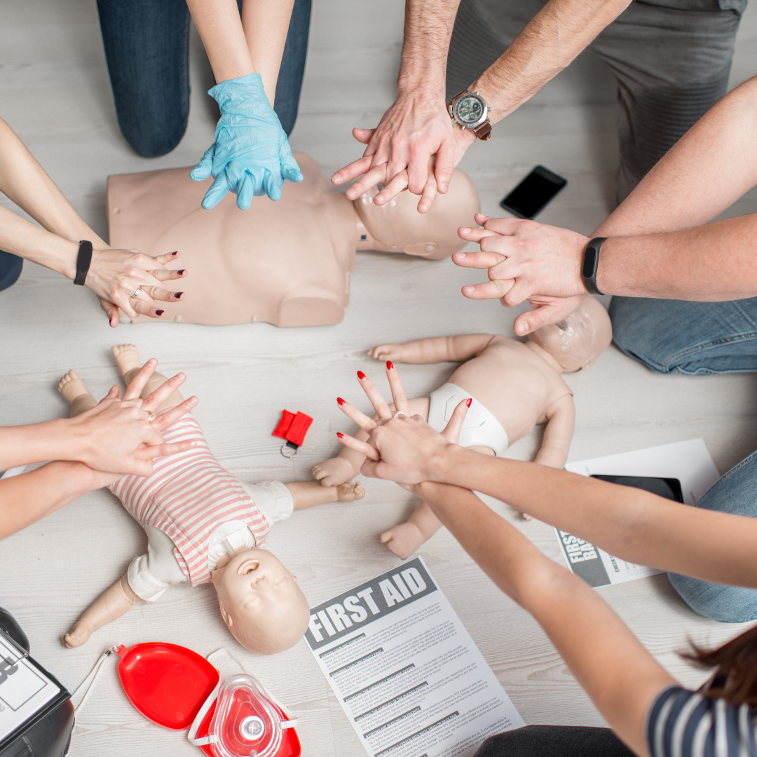 Adult and Pediatric First Aid/CPR/AED Certification